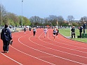 sal_04 113